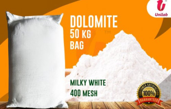 Milky White Dolomite Powder, Packaging Type : Bag