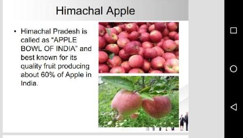 NATURAL COMMON Fresh Red Apple, Packaging Size : 10KG 20KG 25KG