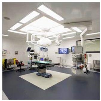 Anti Static ESD Flooring