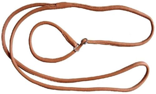 Nylon DL-005 Dog Lead, Color : Orange