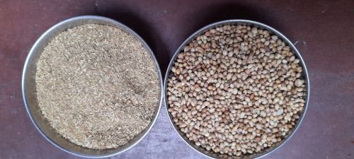 Coriander Powder, Packaging Size : 5kg