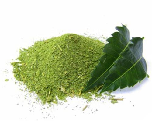 Natural Neem Powder, For Ayurvedic Medicine, Herbal Medicines, Color : Green