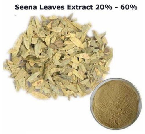 Organic Senna Leaves Extract, For Medicinal, Form : Powder