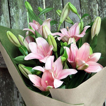 Natural Fresh Lily Flower, Packaging Type : Plastic Bunch