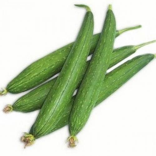 Natural Fresh Sponge Gourd, For Human Consumption, Packaging Size : 10kg, 25kg