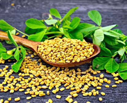 Fenugreek Seeds