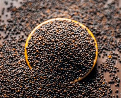 Mustard Seeds