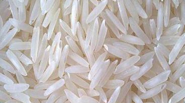 PR 11 Raw Non Basmati Rice