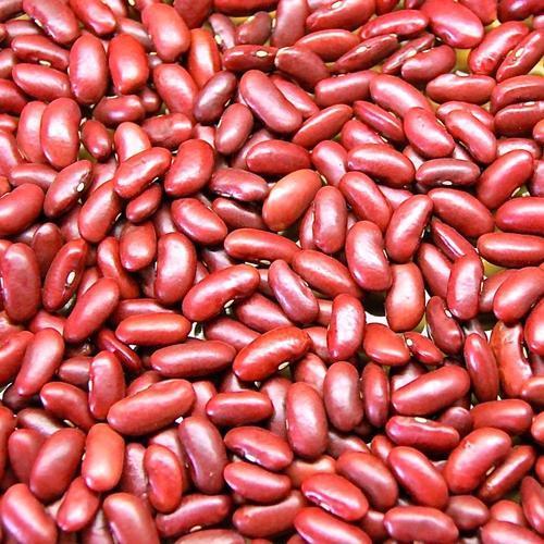 NIRVANA ATLANTIK Organic Red Kidney Beans, Shelf Life : 1Year