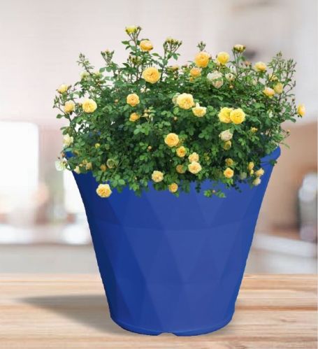 Round Polished Diamond Plastic Pot, For Planting, Feature : Attractive Pattern, Dust Free