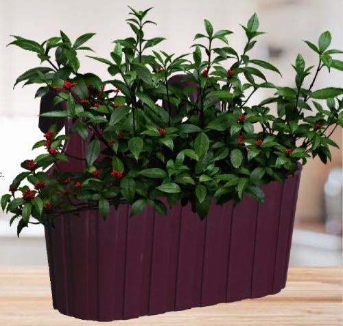 Double Hook Plastic Planter, For Outdoor Use Indoor Use, Feature : Dust Free, Long Life, Rust Proof