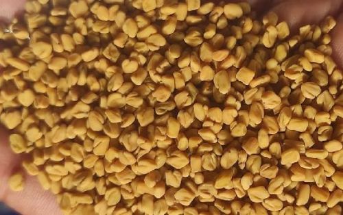 Organic Fenugreek Seeds, Packaging Type : Plastic Packet