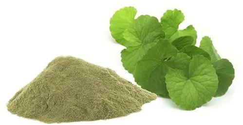 Brahmi Powder, For Medicinal Use, Packaging Size : 30 Kg