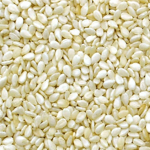 VR Brand Common white sesame seeds, Packaging Type : India