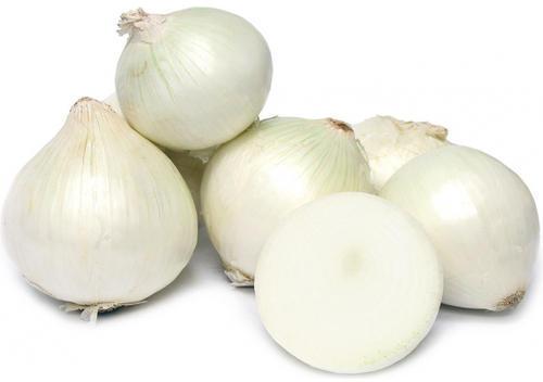 Round Organic Fresh White Onion, For Fast Food, Packaging Type : Net Bag