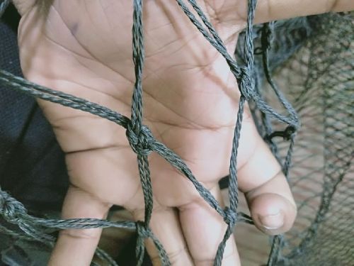 HDPE Morcha Net, Color : Black