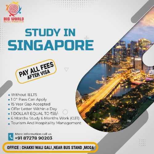 Singapore Study Visa Services