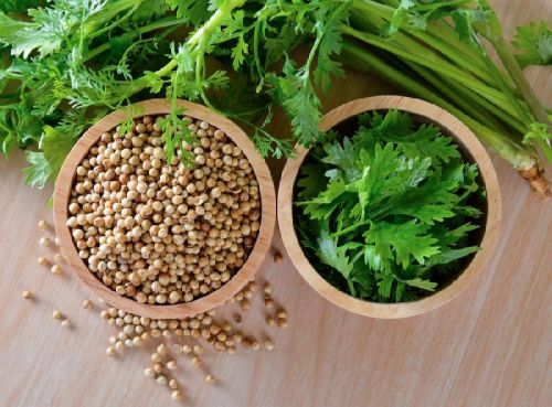 Coriander seeds, Packaging Size : 1kg/ 5kg/10kg/20kg