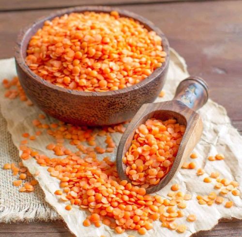 Organic Red Lentils, Shelf Life : 1year