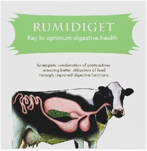 Rumidiget, Packaging Size : 1kg