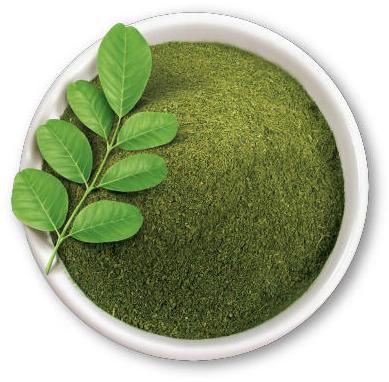 Moringa Powder, Certification : FSSAI Certified