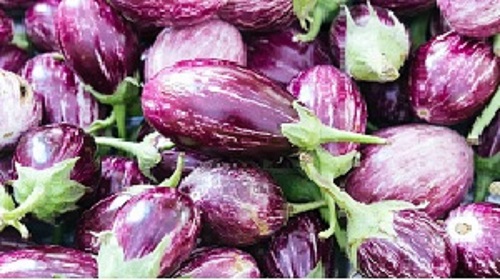 DDS Brinjal Seeds, For Seedlings, Packaging Type : Paper Box