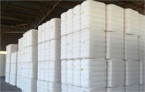 RADIANT Cotton Bales, Purity : 99% Purity