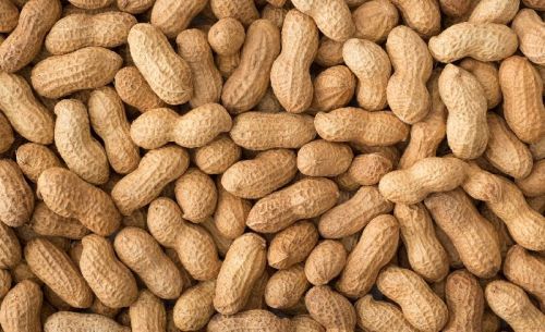 Peanut, Country of Origin : India