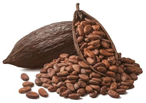 Cacao Beans, For Bakery Products, Cosmetics, Feature : Good Taste, Nice Aroma