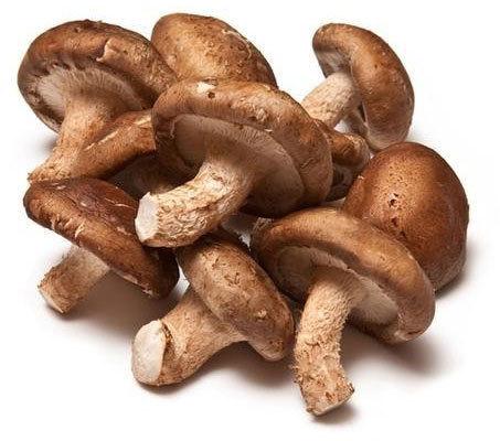 Natural Fresh Shiitake Mushroom, For Cooking, Oil Extraction, Packaging Type : PP Packets