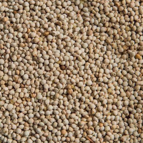 Natural Perilla Seeds, For Food Flavoring, Medicine, Packaging Type : PP Packets