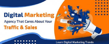 Software development