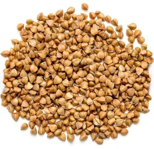 Buckwheat Seeds, Color : Brown