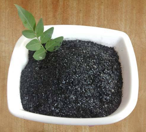 Seaweed Extract Flakes (Super Standard), Packaging Size : 25 Kg