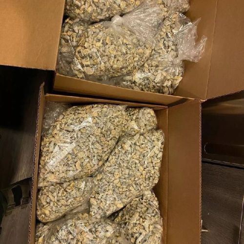 Dried Mushroom 1lb, Packaging Type : Silver, Snow-white, White