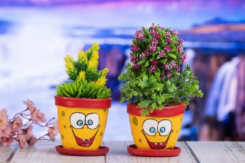 Haus-Fabula Terracotta Clay Indoor Planter With Bottom Tray