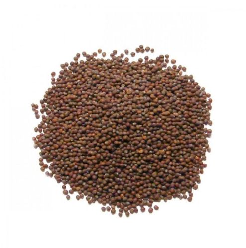 Navodaya Masala Rai Seeds, For Cooking, Certification : FSSAI Certified