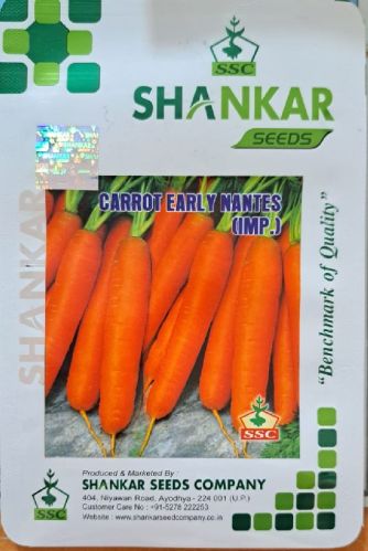 Natural Carrot Seeds, For Seedlings, Food Industry, Specialities : Long Shelf Life, Hygenic, Good Quality