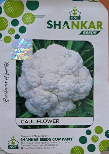 Raw Natural Cauliflower Seeds, For Seedlings, Food Industry, Specialities : Long Shelf Life, Hygenic