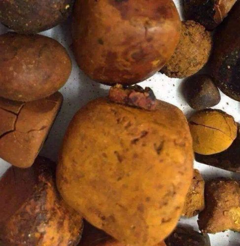 Ox Gallstones, Purity : 99%