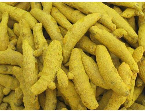 Turmeric Finger