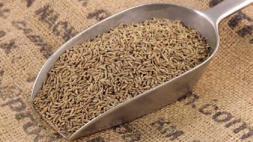 Natural Cumine Seeds, Packaging Type : Light Brown Food Grade