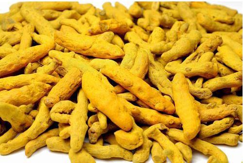 Turmeric Finger, Color : Light Yellow