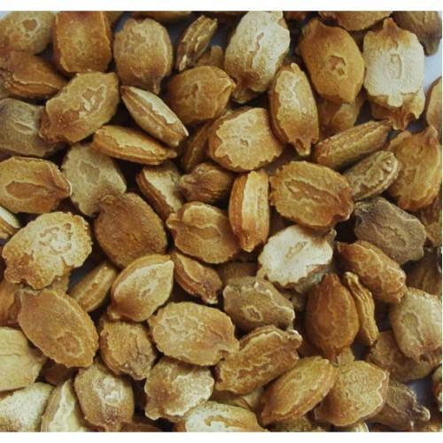 Organic Bitter Gourd Seeds, Grade Standard : Medicine Grade