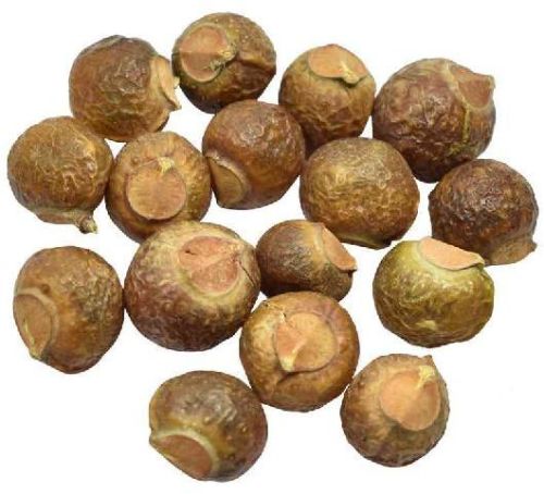 Dried Reetha Herb, Purity : 100%, 100%