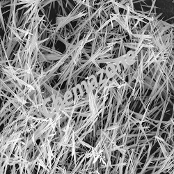 Nanochemazone Lead Titanate Nanowires