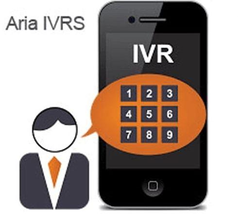 Static Interactive Voice Response System, Color : Black