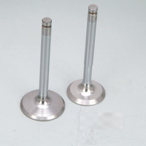 Piaggio Ape Engine Valve Set, For Automobile, Packaging Type : Carton Boxes