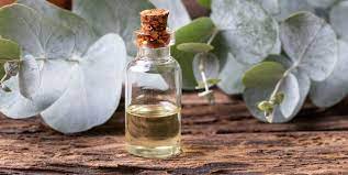 Fenton Eucalyptus Oil, Shelf Life : 2 Year