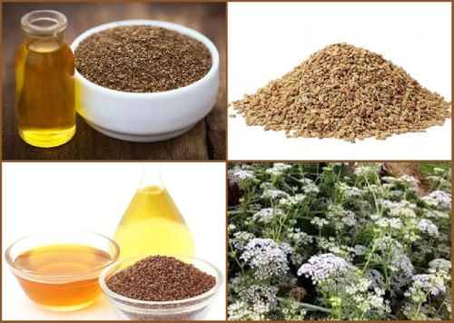 Ajwain Oil, Packaging Size : 1kg, 5kg, 15kg, 30kg 180kg